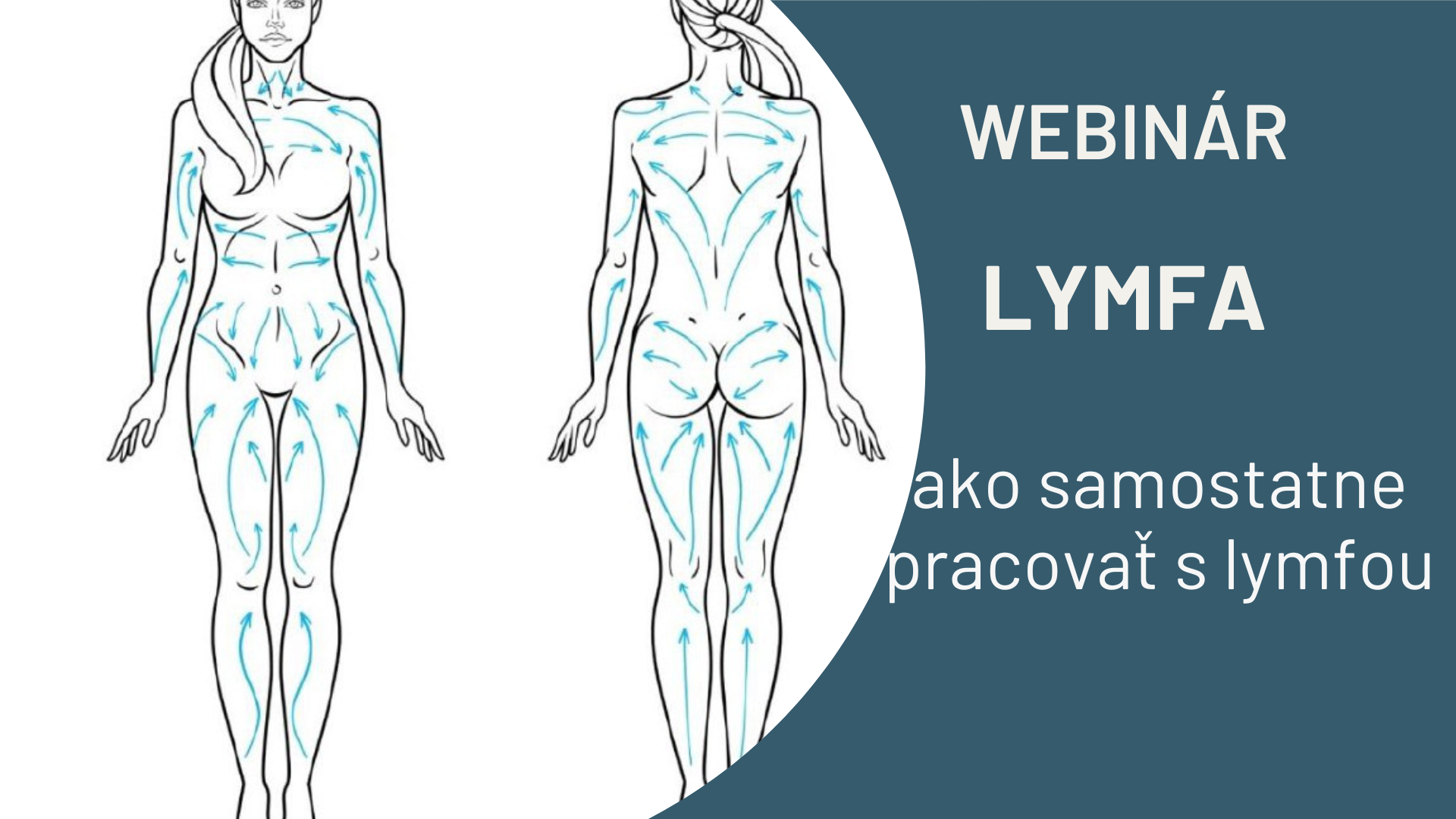Online kurz Lymfatický systém – schéma lymfatických dráh